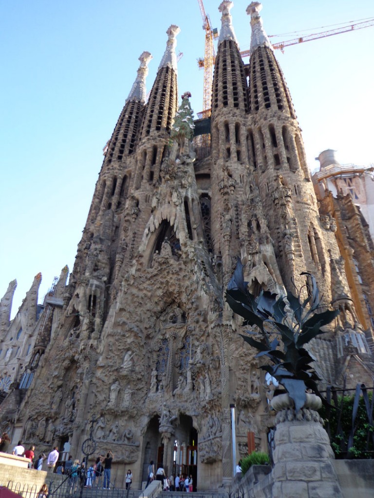 DEC_Sciences_nature_Langues_4