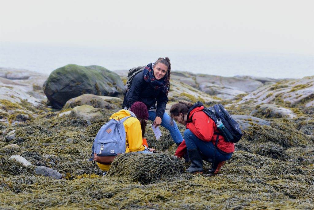 dec_sciences_de_la_nature_cegep_levis_6