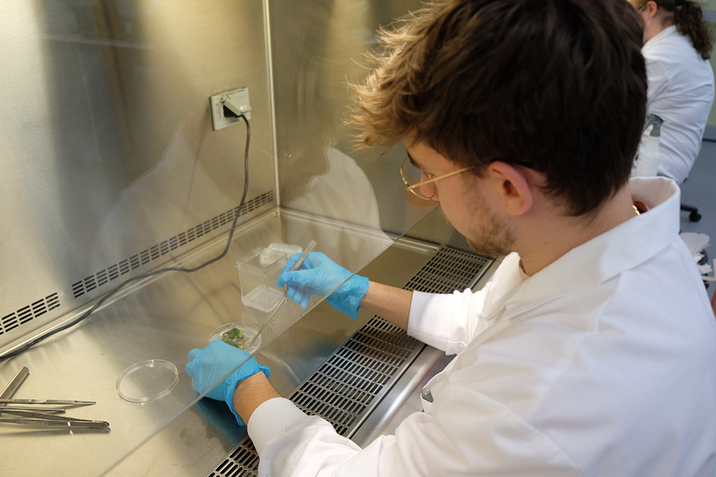 technique_en_biotechnologies_cégep_lévis_15